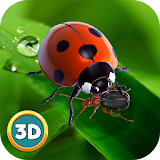 Ladybug Insect Simulator 3D icon