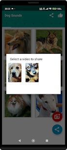 Dog Video Creator (Dog Sounds) スクリーンショット