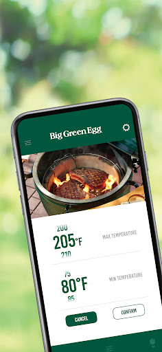 Bluetooth Dome Thermometer Screen 2