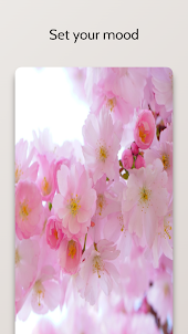 Floral Wallpapers