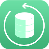 Mobile Phone Data Recovery DOC icon