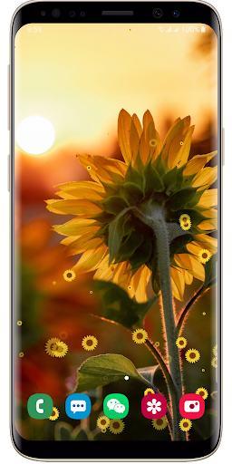 Android application Sunflower Live Wallpaper screenshort
