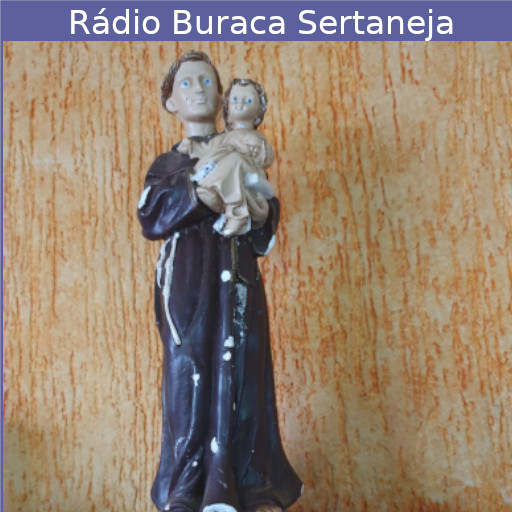 Rádio Buraca Sertaneja 1.0 Icon