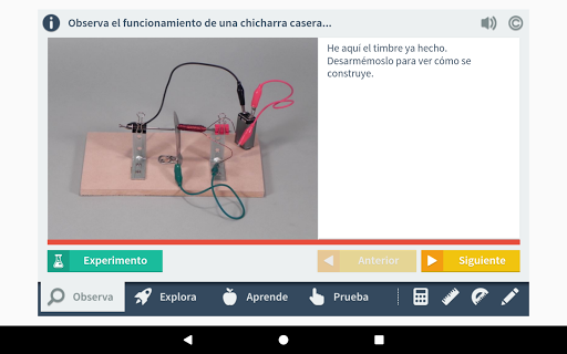El Timbre 5 Primaria Ciencias