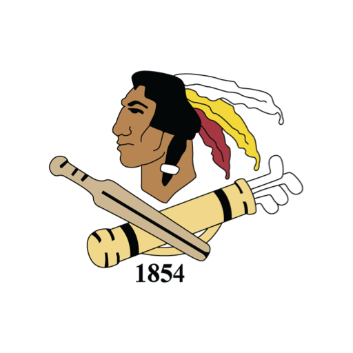 PhilaCricket logo