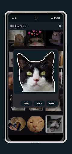 Anteprima dell'app