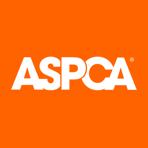 ASPCA Volunteer Portal Download on Windows