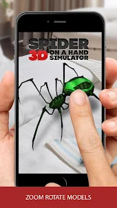 3D spider on a hand simulator