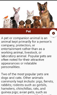 Animal Information in English