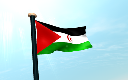 Western Sahara Flag 3D