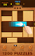 screenshot of Unblock Puzzle