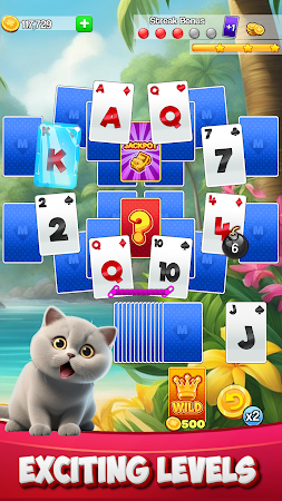 Game screenshot Solitaire TriPeaks Mastery hack