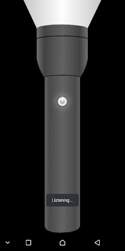 Mobile App Voice Activated Fla Screen 3