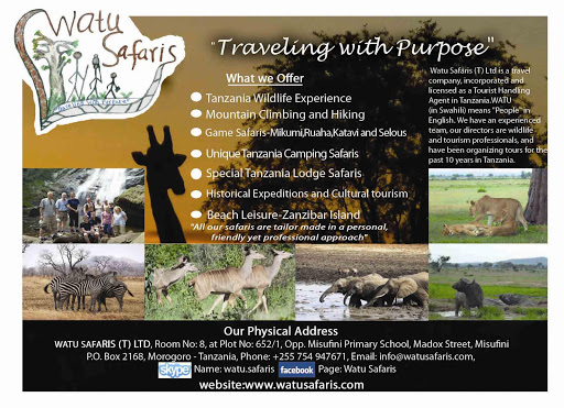Tanzania Safari Options