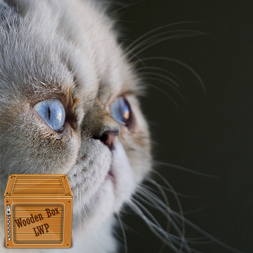 cute persian cat wallpaper logo
