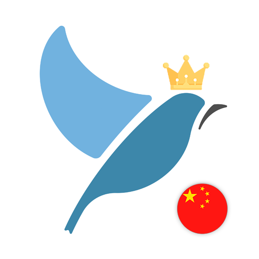Mandarin Chinese Language Test logo