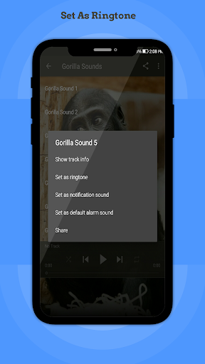 Gorilla Sounds Screen 3