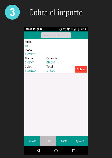 Control De Estacionamiento Screen 3