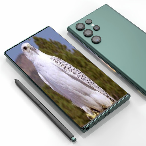 Falcon wallpapers Screen 2