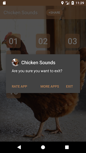 Chicken Sounds Screen 3