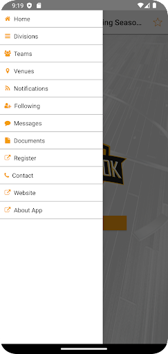The Brook League Screen 2