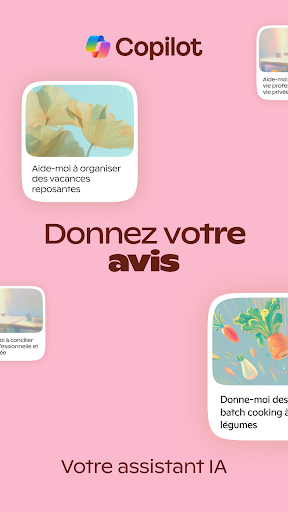 Aperçu de l'application