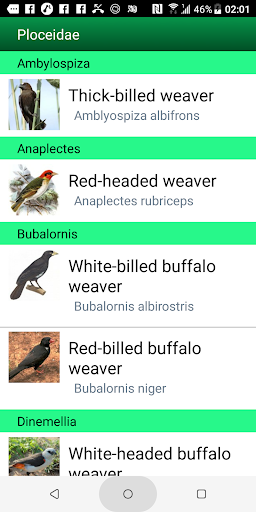 Birds of Eastern Africa Screen 3