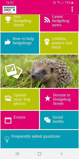 Hedgehog Street Screen 2