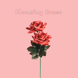 Blooming Roses Theme +HOME for  Android – Latest Version & Features app icon