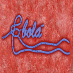 Icon image Ebola Guide