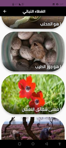 الغطاء النباتي Screen 2