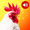 Animal Sounds icon