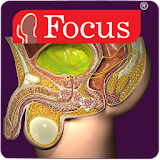Urology - Medical Dictionary icon
