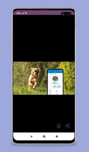 fitbark gps guide