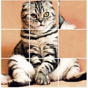 Puzzle Kittens - Cute Cat Puzzle