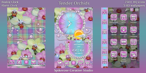 Android application Tender Orchids theme screenshort