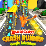 Crash Runner Dog - Amazing Temple City Adventure icon
