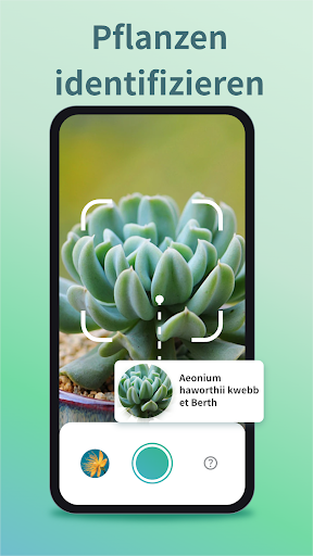 App-Vorschau