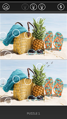 Find the differences - Screenshot 2