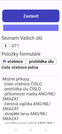 VoiceBee CZ Screen 2
