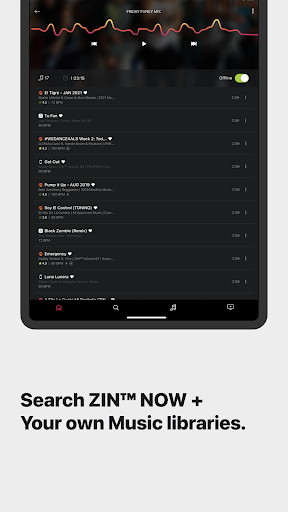 Screenshot of ZIN Play