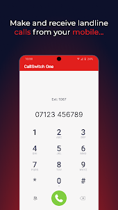 CallSwitch One