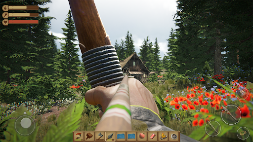 Woodcraft Island Survival Game - Action - games