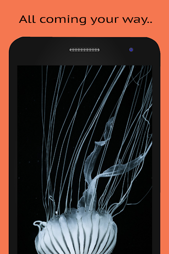 Nature Wallpapers HD Lite