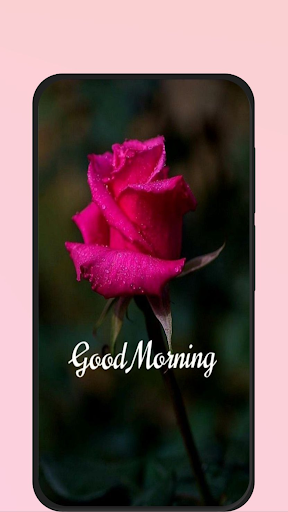 rose images hd Screen 2