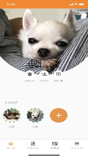 Android application Petcone screenshort