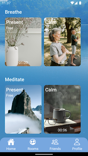 Screenshot of vPresent