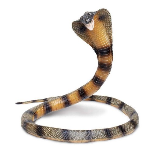 Snake Wallpaper logo