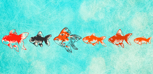 癒しの金魚育成ゲーム Google Play のアプリ