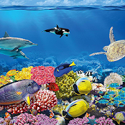 Top 36 Personalization Apps Like Coral Reef Wallpapers HD - Best Alternatives